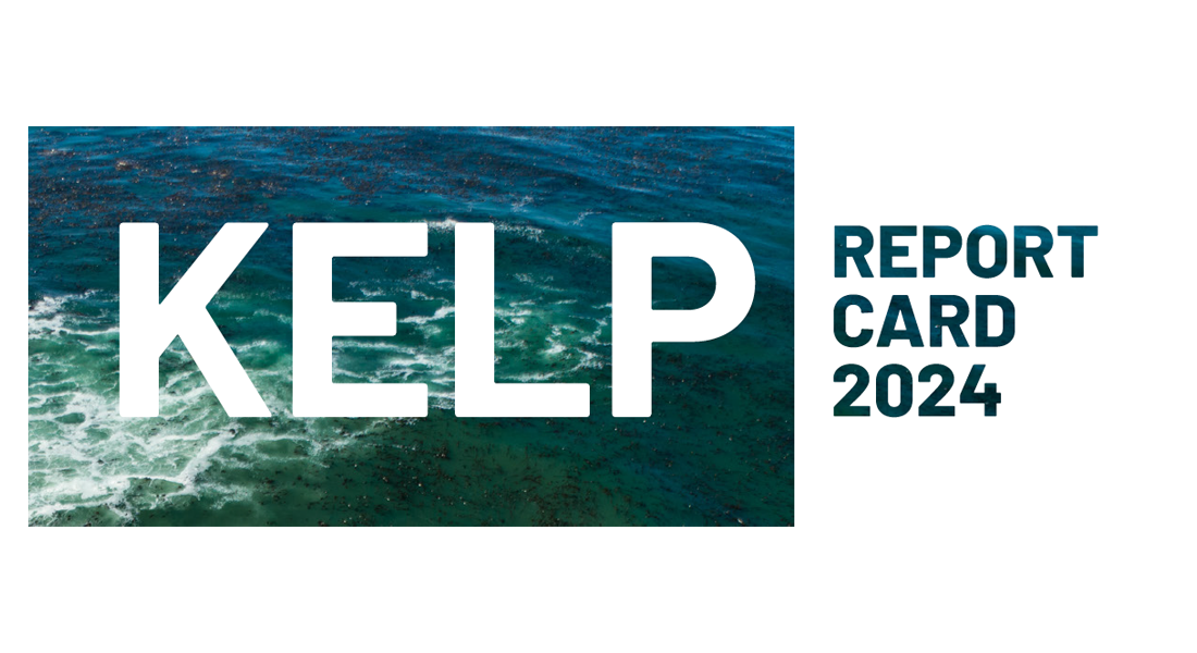 Kelp Report Card 2024