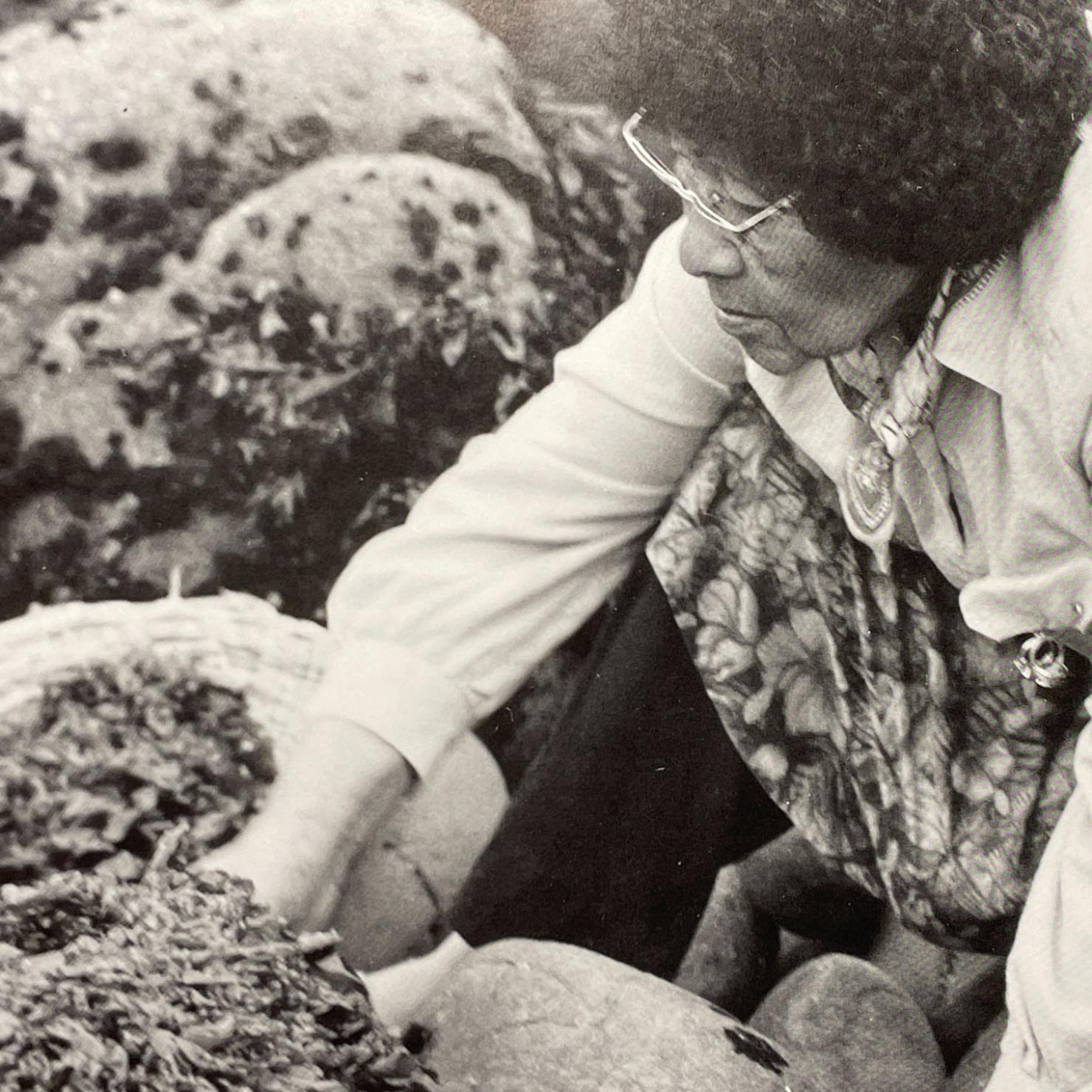 Rose McKay, Pomo, picking seaweed, 1982
