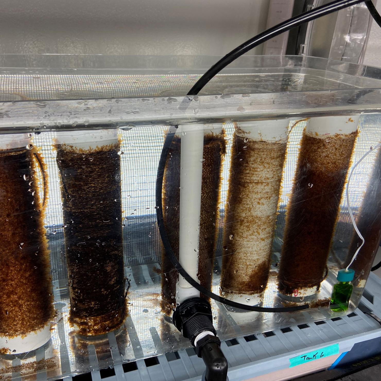 Spools in tank