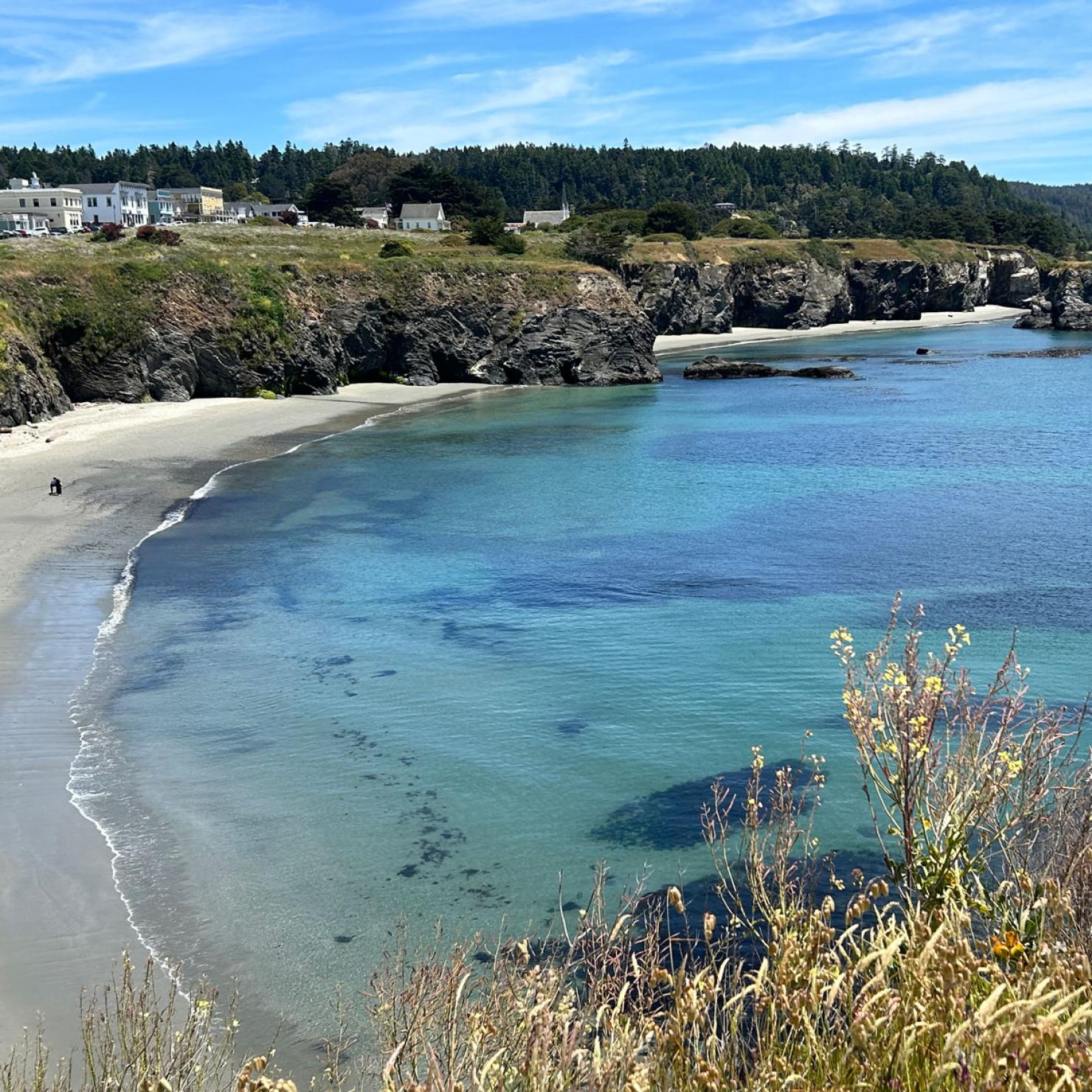 Portuguese Beach, Mendocino California 