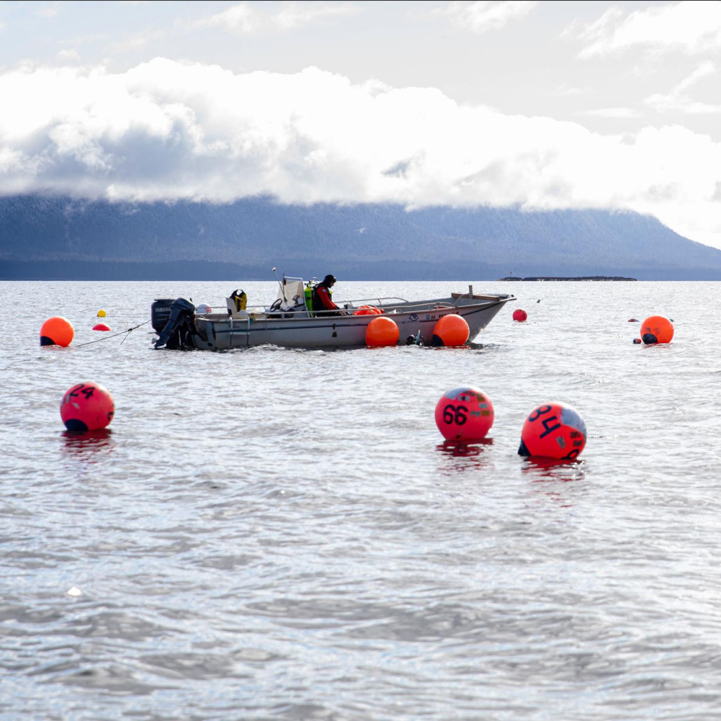 Divers and boat